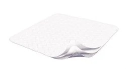 carewell-277326
