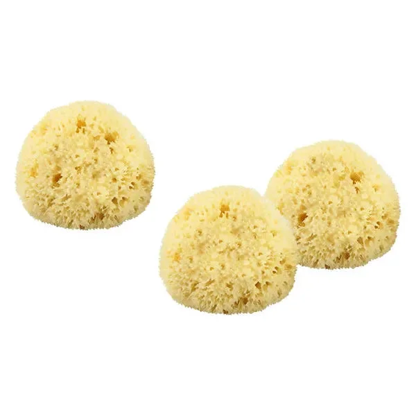 pasteurpharmacy1605864