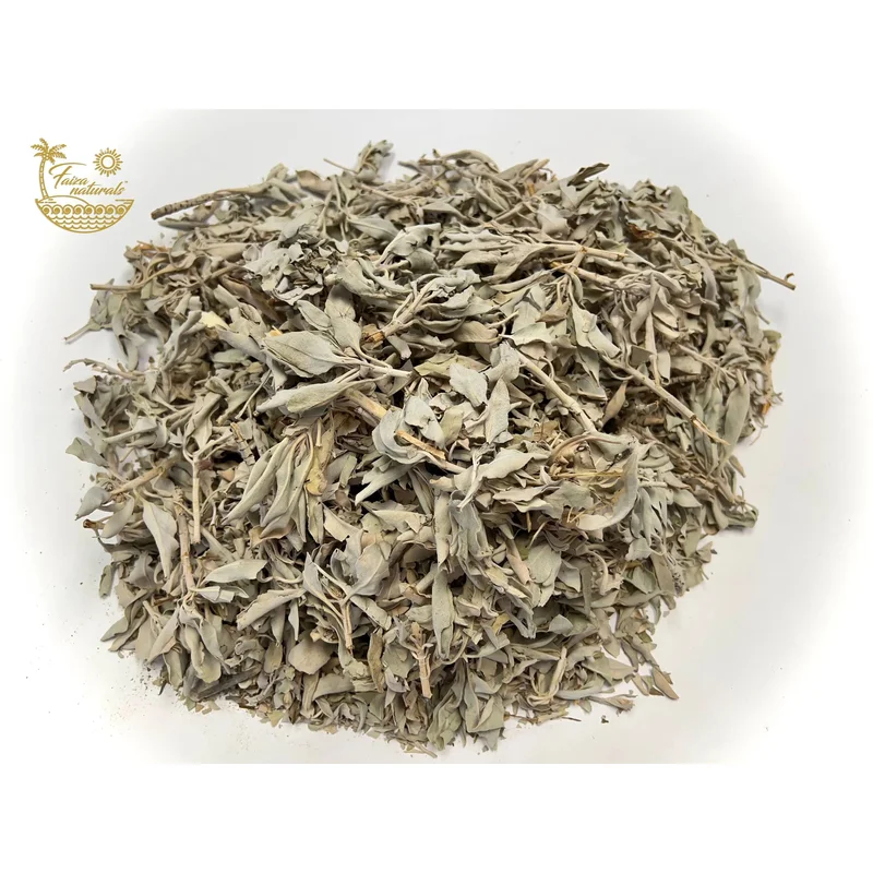 pasteurpharmacy2590883