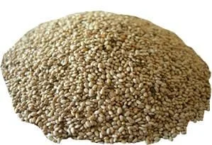 truefoodsmarket1385690