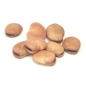 truefoodsmarket2441044