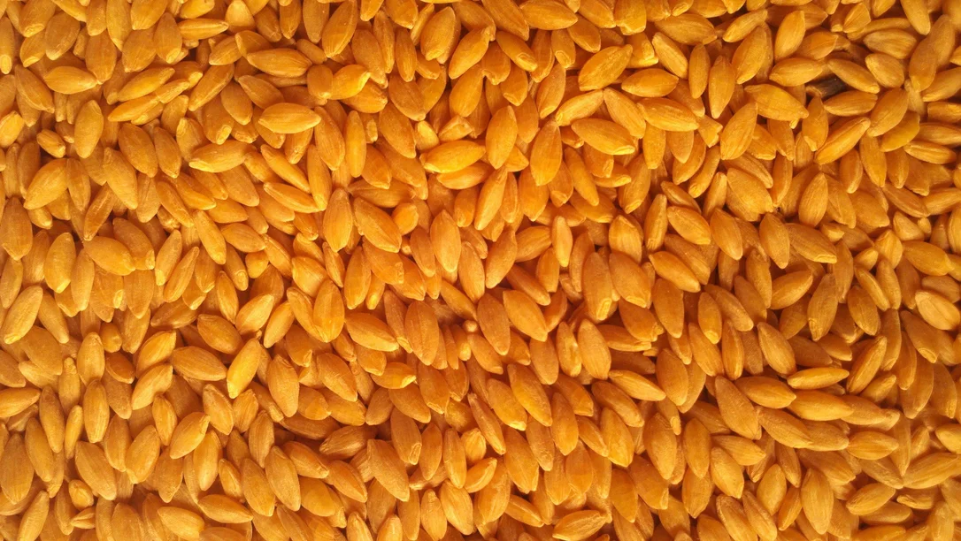 truefoodsmarket2444986