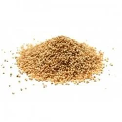 truefoodsmarket2490374