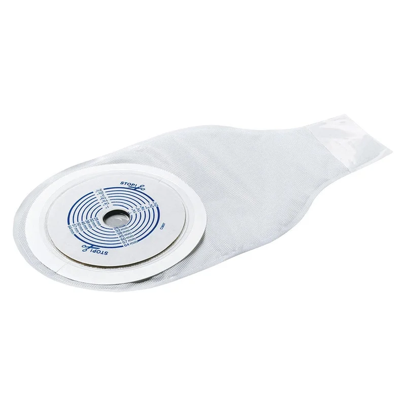 wellnessbetter1410869