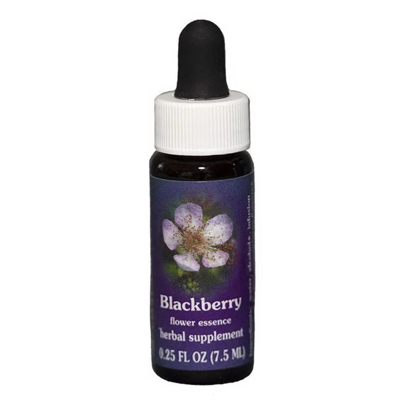wellnessbetter1464098