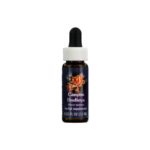 wellnessbetter1464736