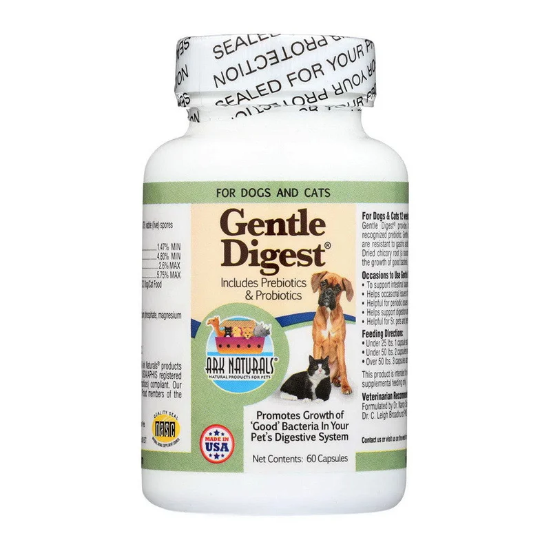 wellnessbetter1552760