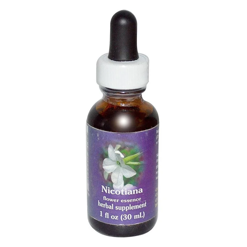 wellnessbetter2398859