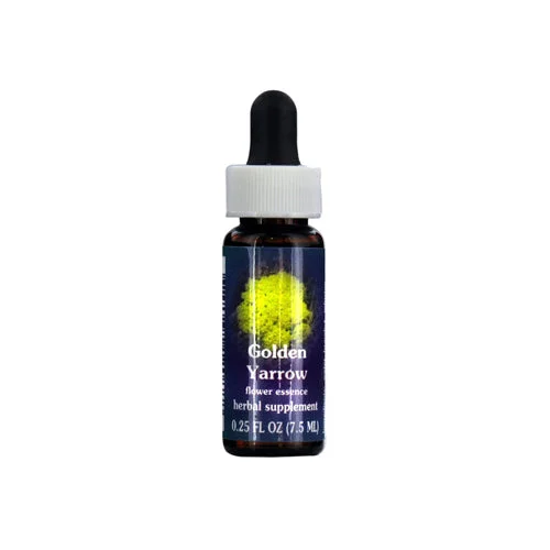 wellnessbetter3428273