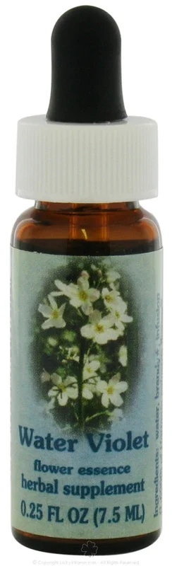wellnessbetter3428403