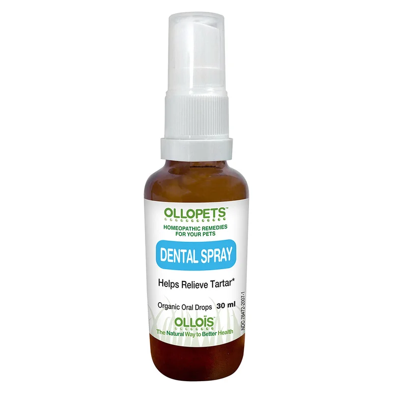 wellnessbetter3457481